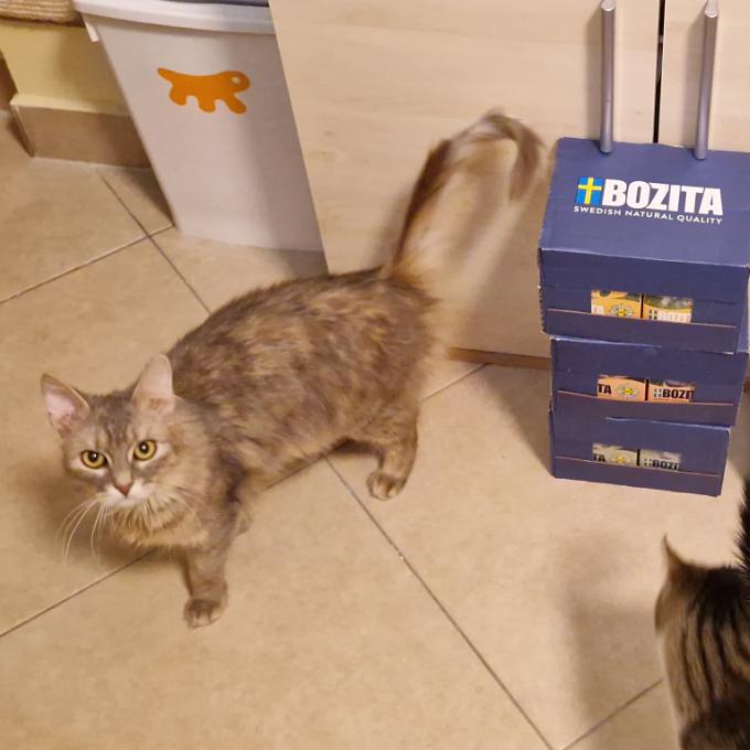 Leoni