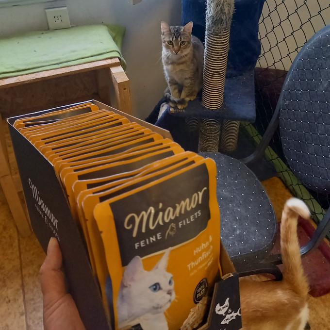 Mrně