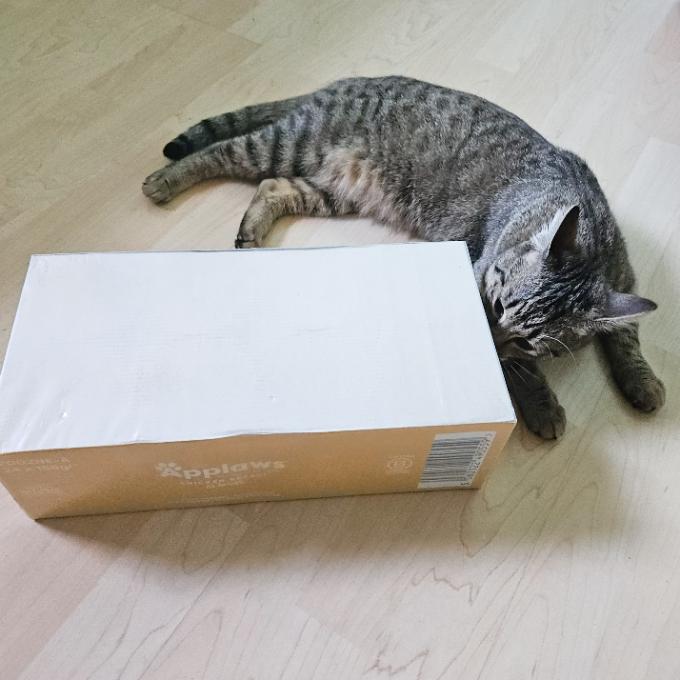Babetka