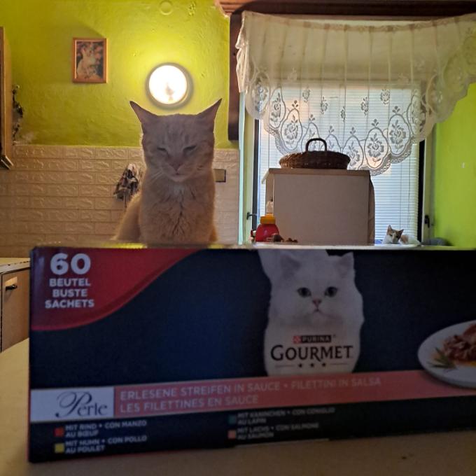 HUGO