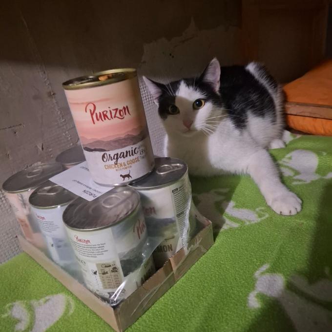 MÁJA
