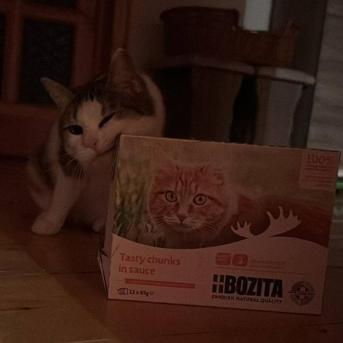 Princezna