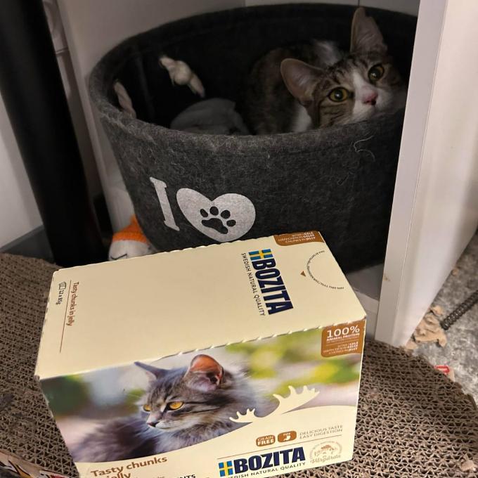 Nala
