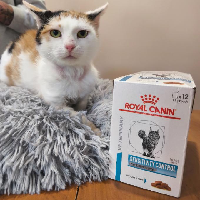 Anička