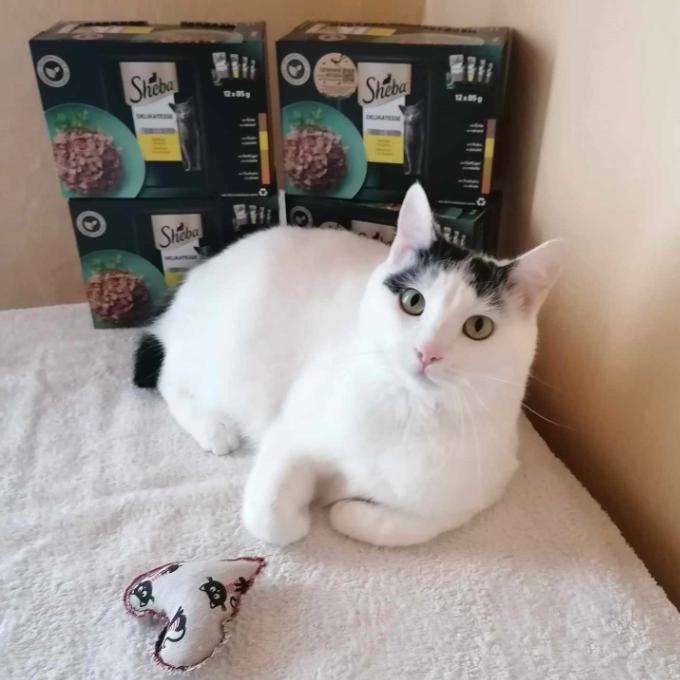 Bibi