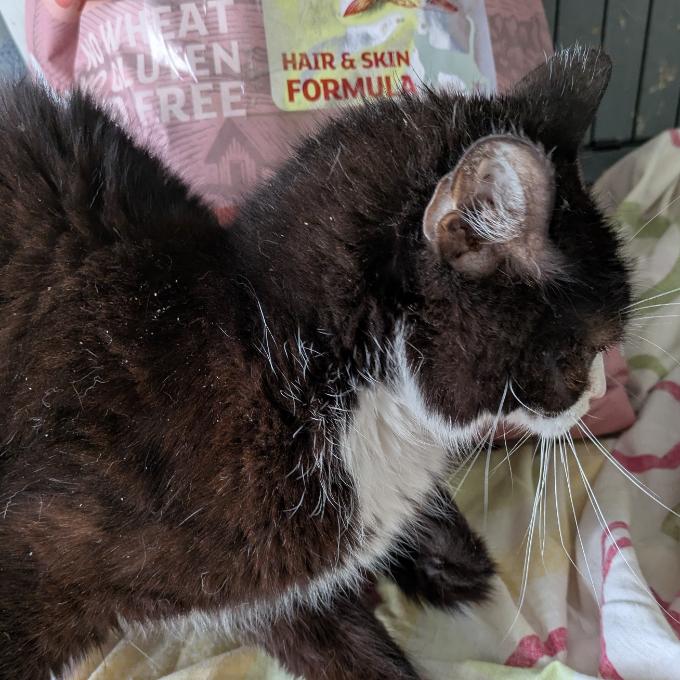 Tom