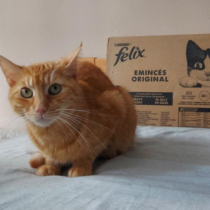 Fabián