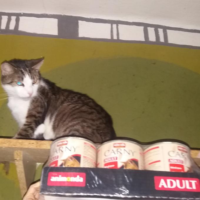 Čumáček