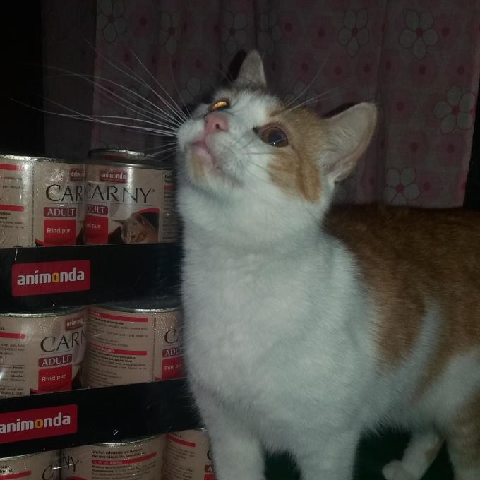 Oskar