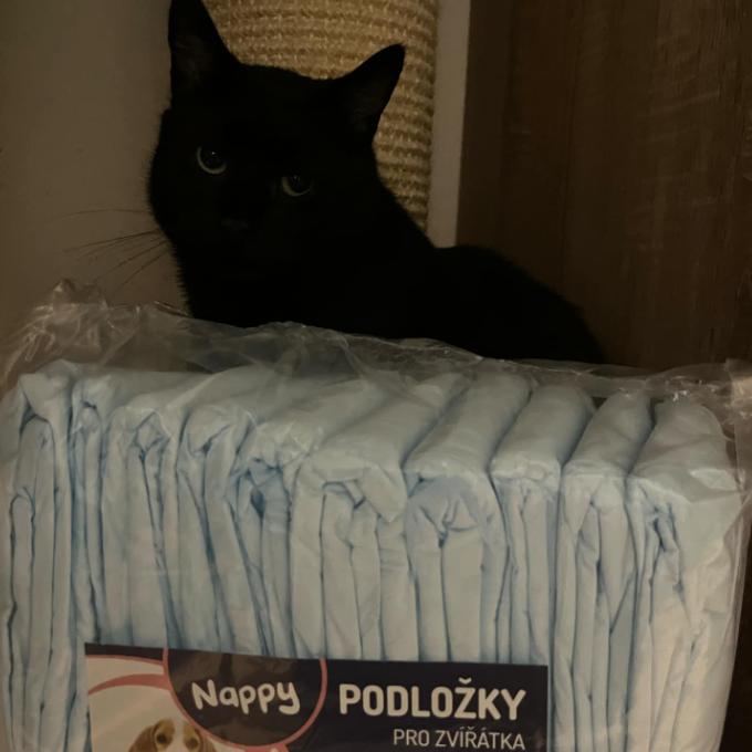 Pan Pumík