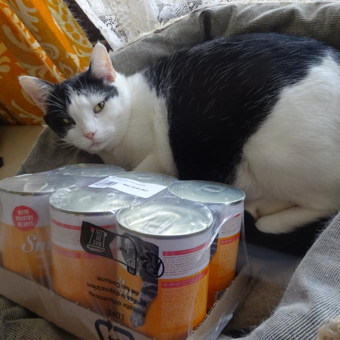 Pacínek Packa