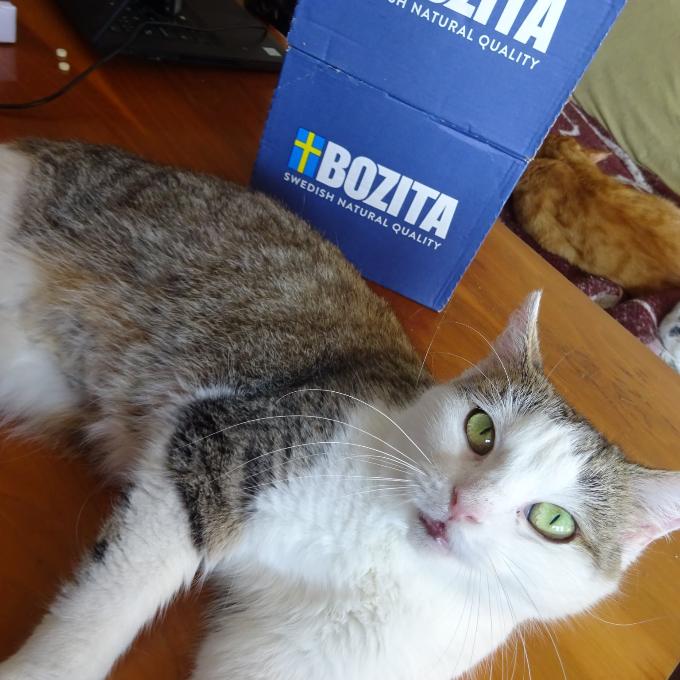 Leontýnka