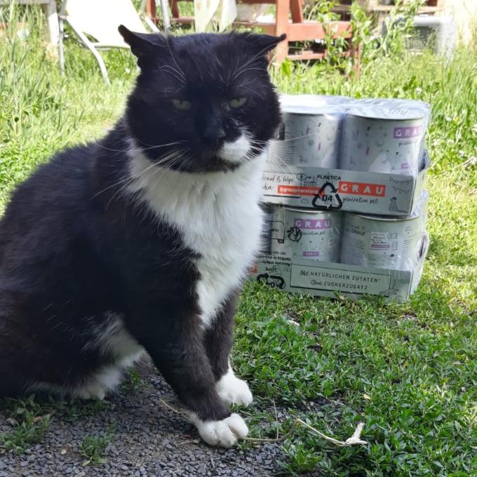 Cigín (Paša)