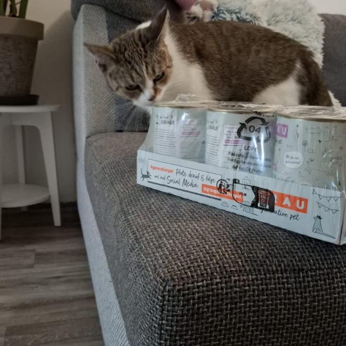 Můra