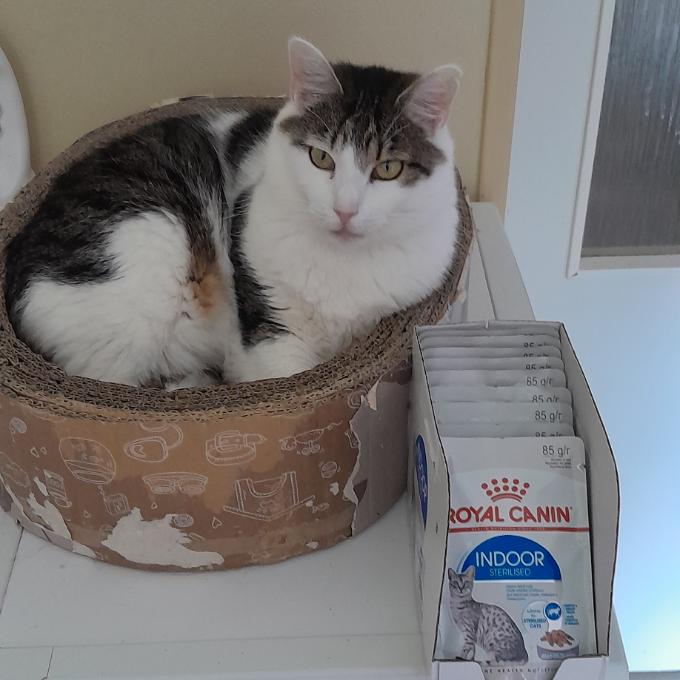 Lili