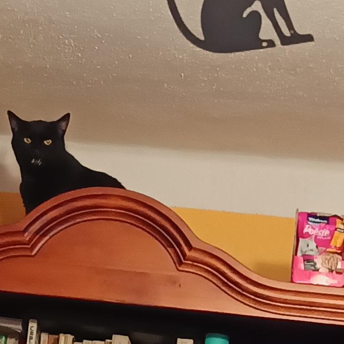 Aranka