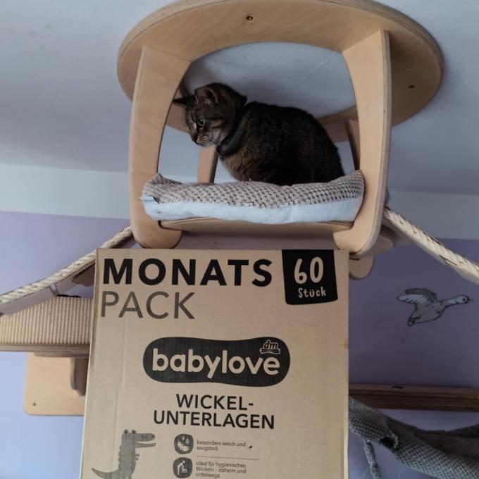 FeLV pozitivní Konvalinka