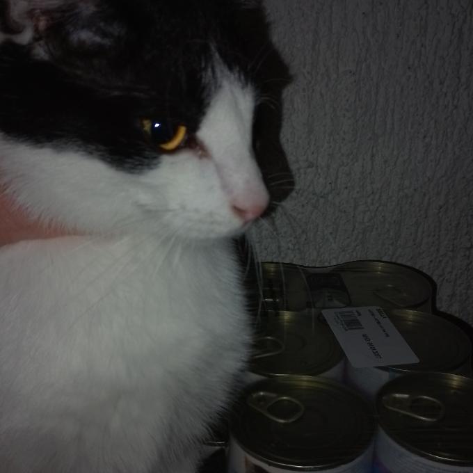 OTÍK BEZPACÍK
