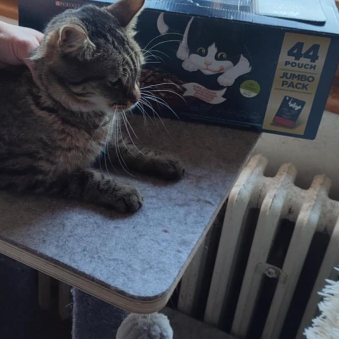 Oskar