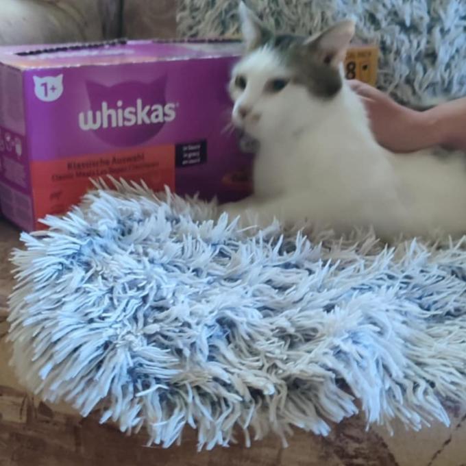 Pihulka