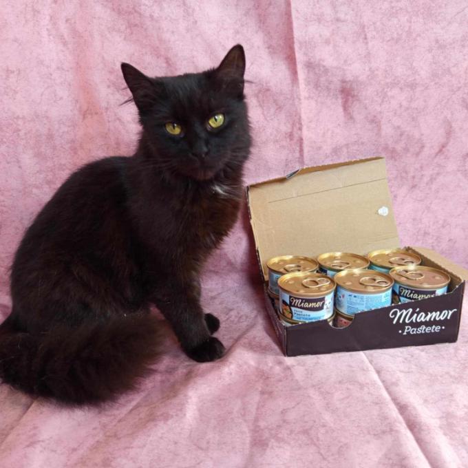 Morgana
