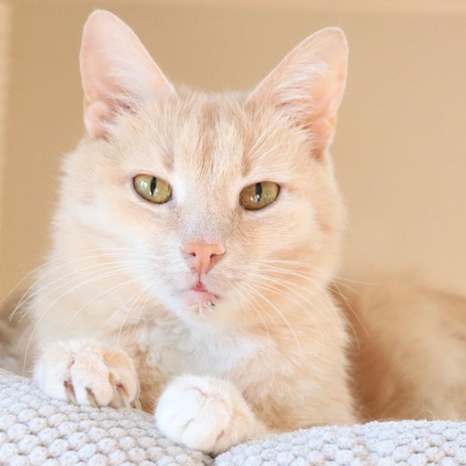 Dědeček Tarabásek