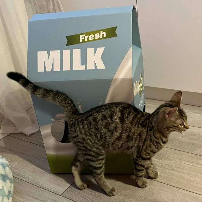 Poseroutka - Jožinka