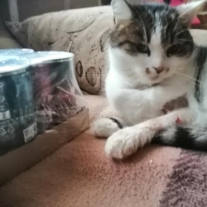 Hradní paní z Buchlova