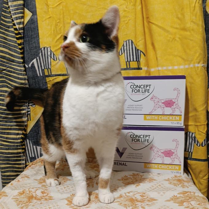 Bára - dříve Pěkná