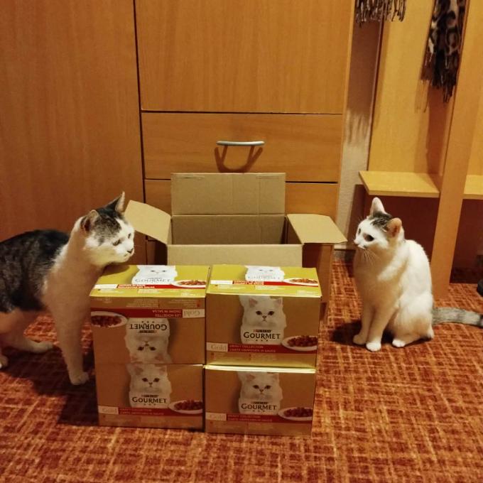 Mňoukalka a Lojzík