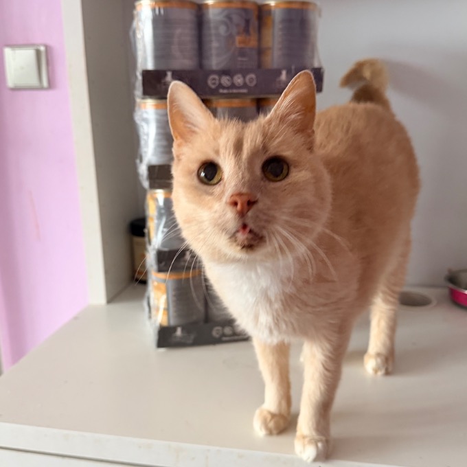 Dědeček Tarabásek