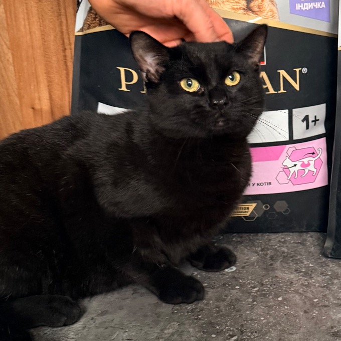 Přeživší Loupáček