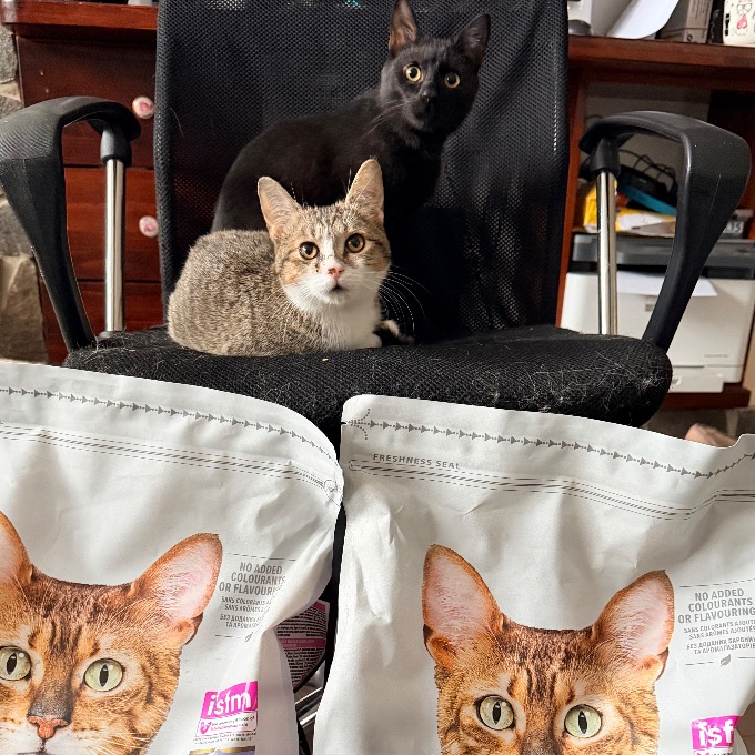 Přeživší Palačinka