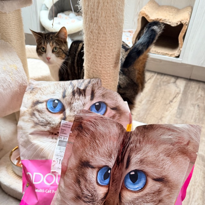 Izanami z laboratoře