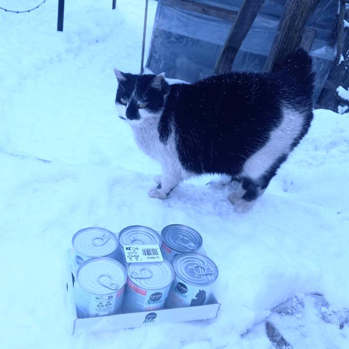 Princezna Koloběžka