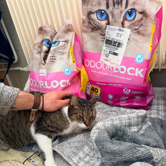 Bojínková Mascarpone