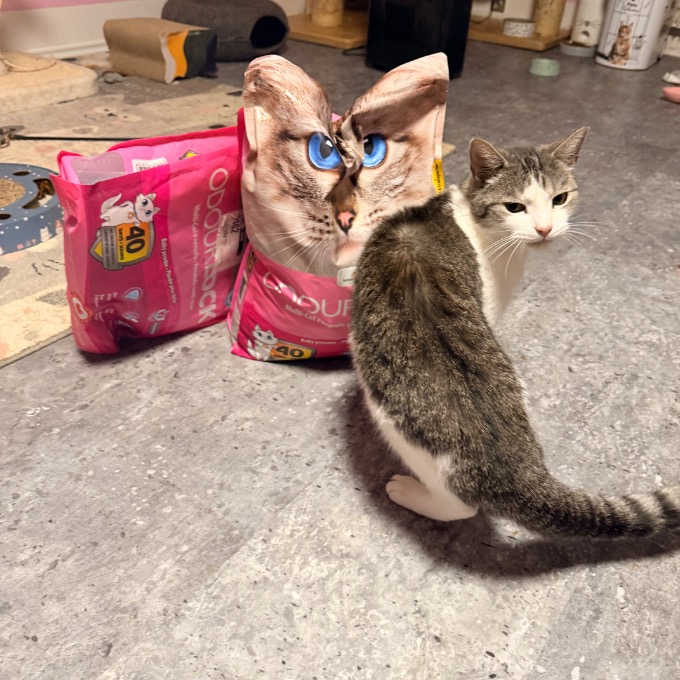 Krasavec Ruslan Romeo