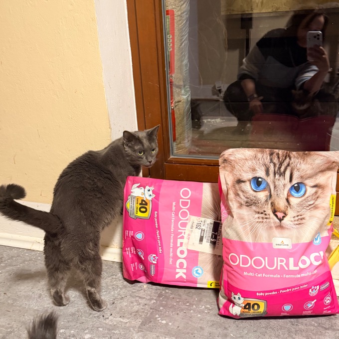 FIV pozitivní Migrid