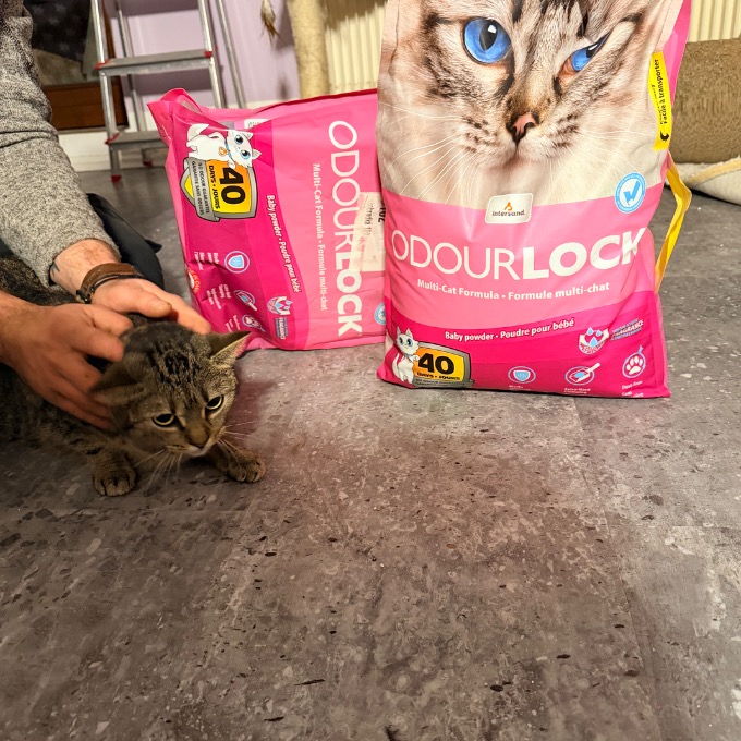 FeLV pozitivní FIP Konvalinka