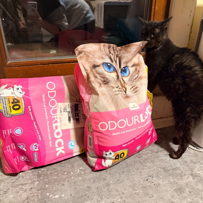 FIV babička Bříza