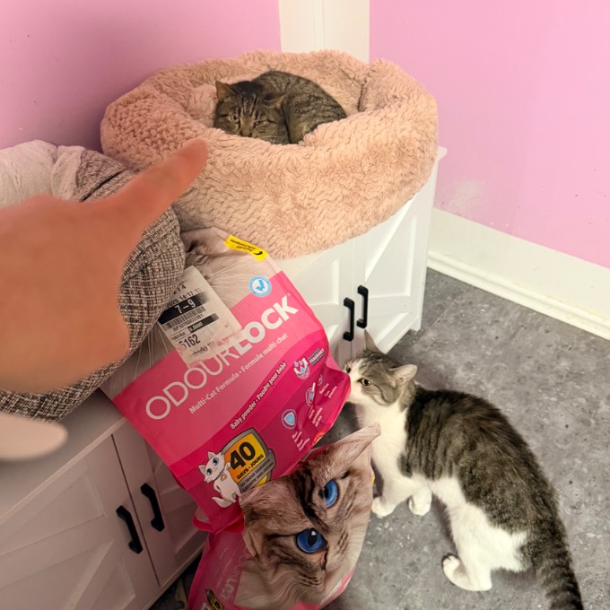 Tamayori z laboratoře