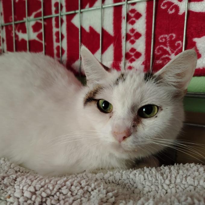 Perla