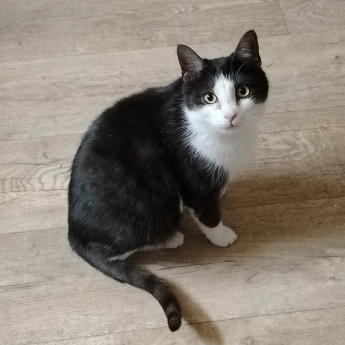 Oliver