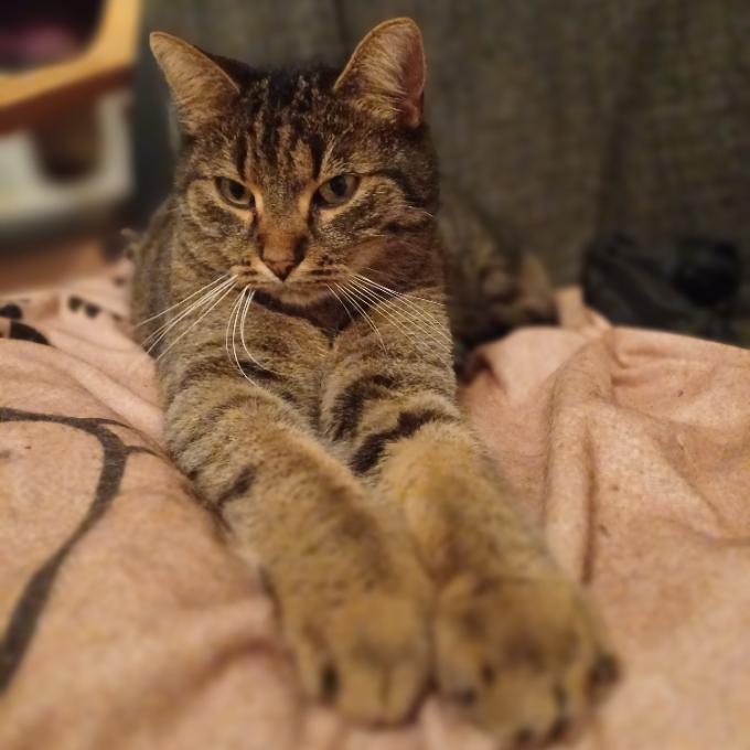 Oliver
