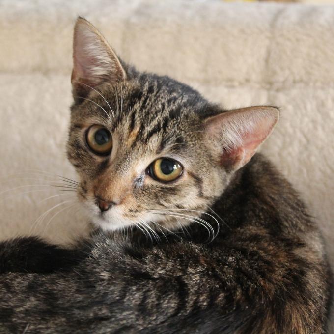 Berta