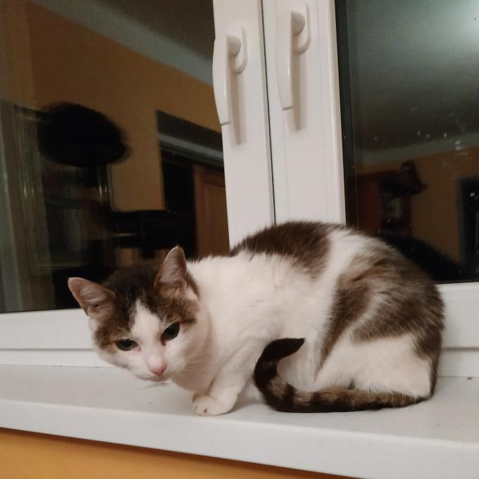 Max