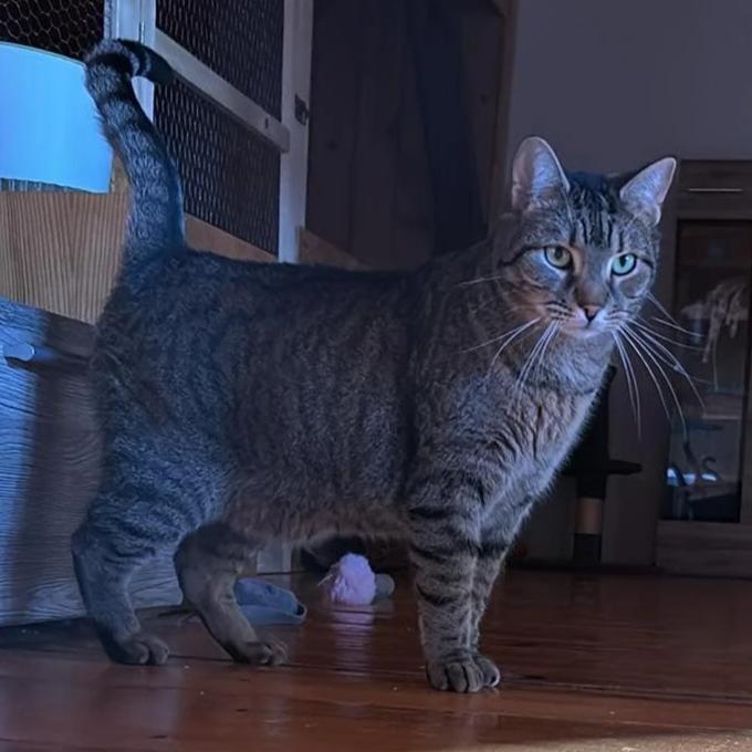 Leo