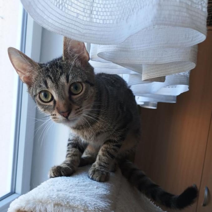 Erik
