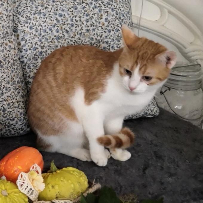 Oskar