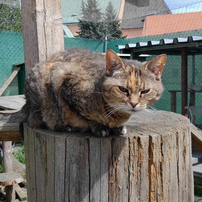 Mouruška